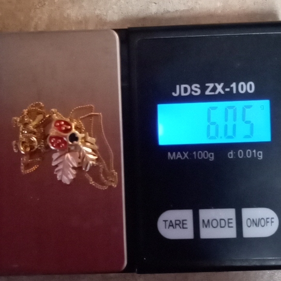 BLACK HILLS GOLD LADYBUG ๐ AND LEAVES NECKLACE - Picture 9 of 9